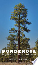 Ponderosa : big pine of the Southwest /
