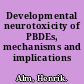 Developmental neurotoxicity of PBDEs, mechanisms and implications