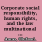 Corporate social responsibility, human rights, and the law multinational corporations in developing countries /