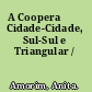 A Cooperaȯ̂ Cidade-Cidade, Sul-Sul e Triangular /