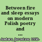 Between fire and sleep essays on modern Polish poetry and prose /