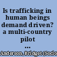 Is trafficking in human beings demand driven? a multi-country pilot study /