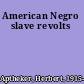 American Negro slave revolts