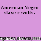 American Negro slave revolts.