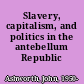 Slavery, capitalism, and politics in the antebellum Republic /