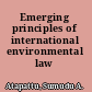 Emerging principles of international environmental law
