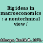 Big ideas in macroeconomics : a nontechnical view /