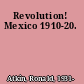 Revolution! Mexico 1910-20.