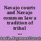 Navajo courts and Navajo common law a tradition of tribal self-governance /