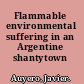 Flammable environmental suffering in an Argentine shantytown /