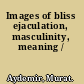 Images of bliss ejaculation, masculinity, meaning /