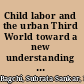 Child labor and the urban Third World toward a new understanding of the problem /