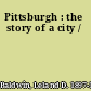 Pittsburgh : the story of a city /