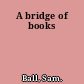 A bridge of books