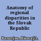 Anatomy of regional disparities in the Slovak Republic