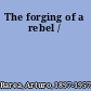 The forging of a rebel /