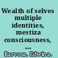Wealth of selves multiple identities, mestiza consciousness, and the subject of politics /