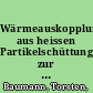 Wärmeauskopplung aus heissen Partikelschüttungen zur Dampferzeugung /