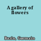 A gallery of flowers