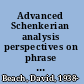 Advanced Schenkerian analysis perspectives on phrase rhythm, motive, and form /