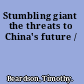 Stumbling giant the threats to China's future /