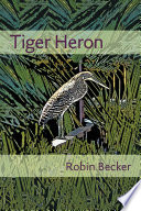 Tiger heron /