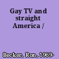 Gay TV and straight America /