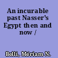 An incurable past Nasser's Egypt then and now /