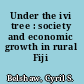 Under the ivi tree : society and economic growth in rural Fiji /