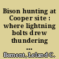 Bison hunting at Cooper site : where lightning bolts drew thundering herds /