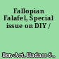 Fallopian Falafel, Special issue on DIY /