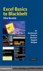 Excel basics to blackbelt : an accelerated guide to decision support designs /