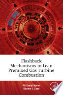 Flashback mechanisms in lean premixed gas turbine combustion /