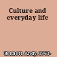 Culture and everyday life