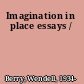 Imagination in place essays /