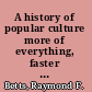 A history of popular culture more of everything, faster and brighter /