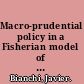 Macro-prudential policy in a Fisherian model of financial innovation