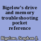 Bigelow's drive and memory troubleshooting pocket reference /
