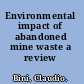 Environmental impact of abandoned mine waste a review /