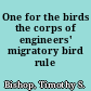 One for the birds the corps of engineers' migratory bird rule /