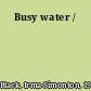 Busy water /