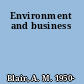 Environment and business