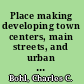 Place making developing town centers, main streets, and urban villages /