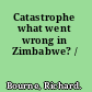 Catastrophe what went wrong in Zimbabwe? /