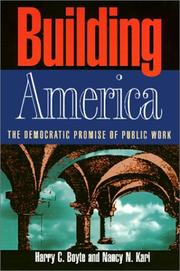 Building America : the democratic promise of public work /
