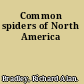 Common spiders of North America