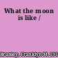 What the moon is like /