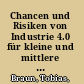 Chancen und Risiken von Industrie 4.0 für kleine und mittlere Unternehmen : Eine Untersuchung am Beispiel der mittelständischen Automobilzulieferer /