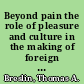 Beyond pain the role of pleasure and culture in the making of foreign affairs /