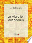 La migration des oiseaux /